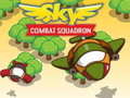 Тоглоом Sky Combat Squardom