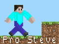 Тоглоом Pro Steve