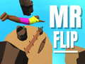 Тоглоом Mr Flip