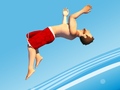 Тоглоом Flip Divers