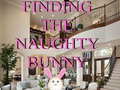 Тоглоом Finding The Naughty Bunny