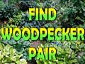 Тоглоом Find Woodpecker Pair 