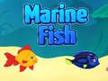 Тоглоом Marine Fish