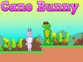 Тоглоом Cano Bunny