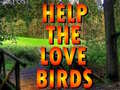Тоглоом Help The Love Birds 