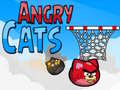 Тоглоом Angry Cats