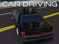 Тоглоом Car Driving