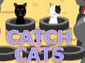 Тоглоом Catch Cats