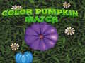 Тоглоом Color Pumpkin Match