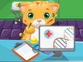 Тоглоом Cat Doctor