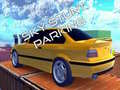 Тоглоом Sky Stunt  Parking 