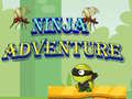 Тоглоом Ninja Adventure