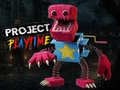 Тоглоом Project Play Time