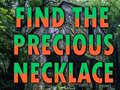 Тоглоом Find The Precious Necklace