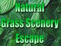 Тоглоом Natural Grass Scenery Escape
