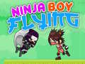 Тоглоом Ninja Boy Flying