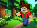 Тоглоом Minicraft