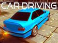 Тоглоом Car Driving
