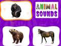 Тоглоом Animal Sounds