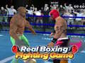 Тоглоом Real Boxing Fighting Game