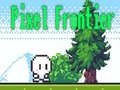 Тоглоом Pixel Frontier