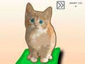 Тоглоом Cat Clicker RE