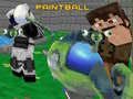 Тоглоом Paintbal 