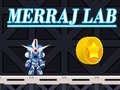 Тоглоом Merraj Lab