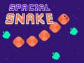 Тоглоом Spacial Snake