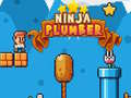 Тоглоом Ninja Plumber