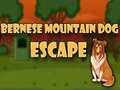 Тоглоом Bernese Mountain Dog Escape