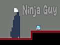 Тоглоом Ninja Guy