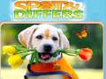 Тоглоом Spot&Differs