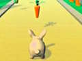 Тоглоом Rabbit Runner