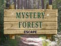 Тоглоом Mystery Forest
