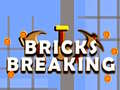 Тоглоом Bricks Breaking