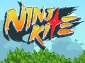 Тоглоом Ninja Kite