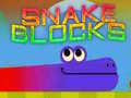 Тоглоом Snake Blocks