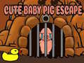 Тоглоом Cute baby Pig escape