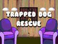 Тоглоом Trapped dog Rescue