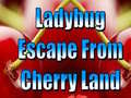 Тоглоом Ladybug Escape From Cherry Land