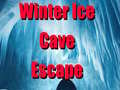 Тоглоом Winter Ice Cave Escape