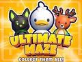 Тоглоом Ultimate Maze! Collect Them All!