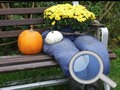 Тоглоом Autumn Garden Find 100 butterflies