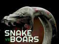 Тоглоом Snake vs board