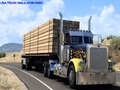 Тоглоом USA Truck Simulator 2024