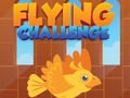 Тоглоом Flying Challenge