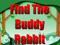 Тоглоом Find The Buddy Rabbit