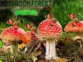 Тоглоом Mushroom Forest Adventure