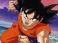 Тоглоом Dragon Ball Treasure Hunter